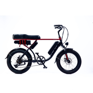 Fat Electric Bicycle 20*3.0 Fat Electric Bike 48V 500W External 7speeds